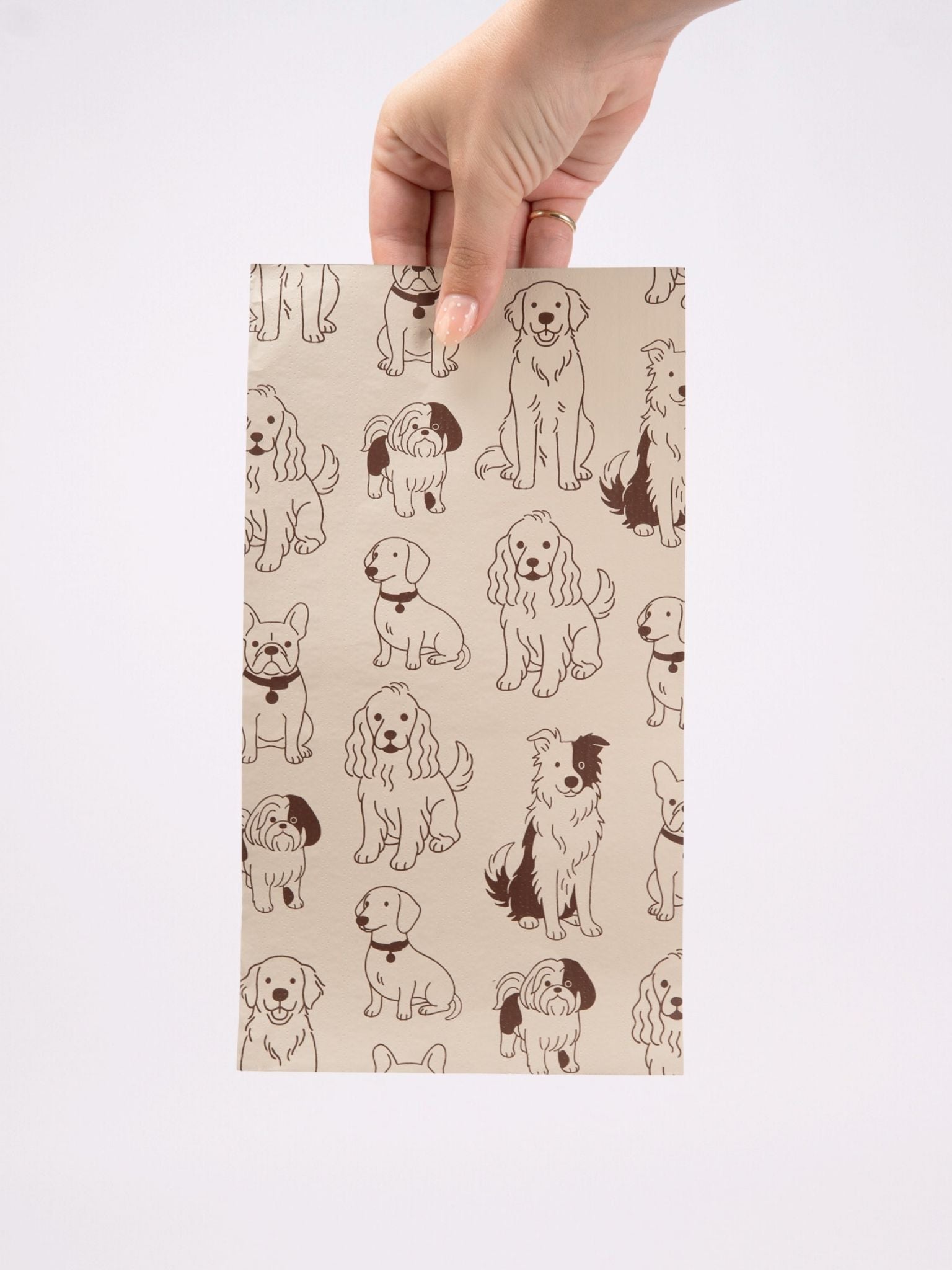Lola & Friends - Flat Pack